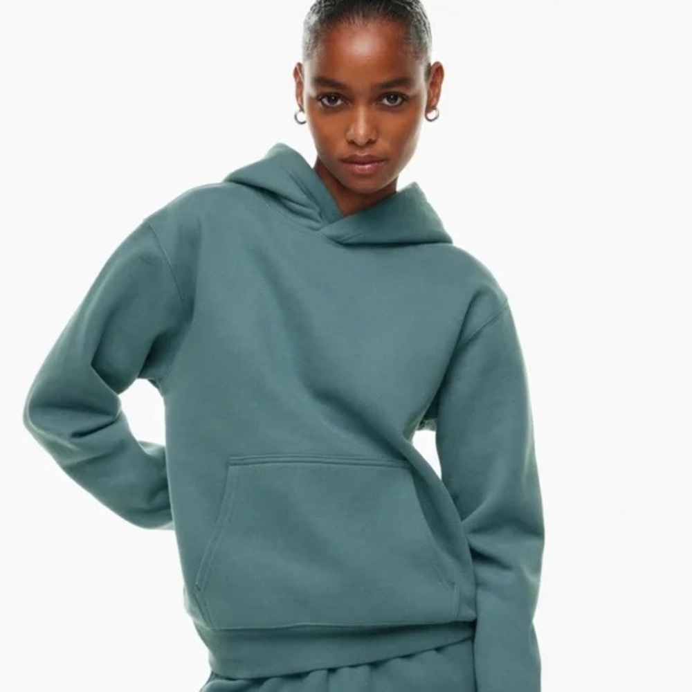 Aritzia TNA Cozy AF Fleece Hoodie